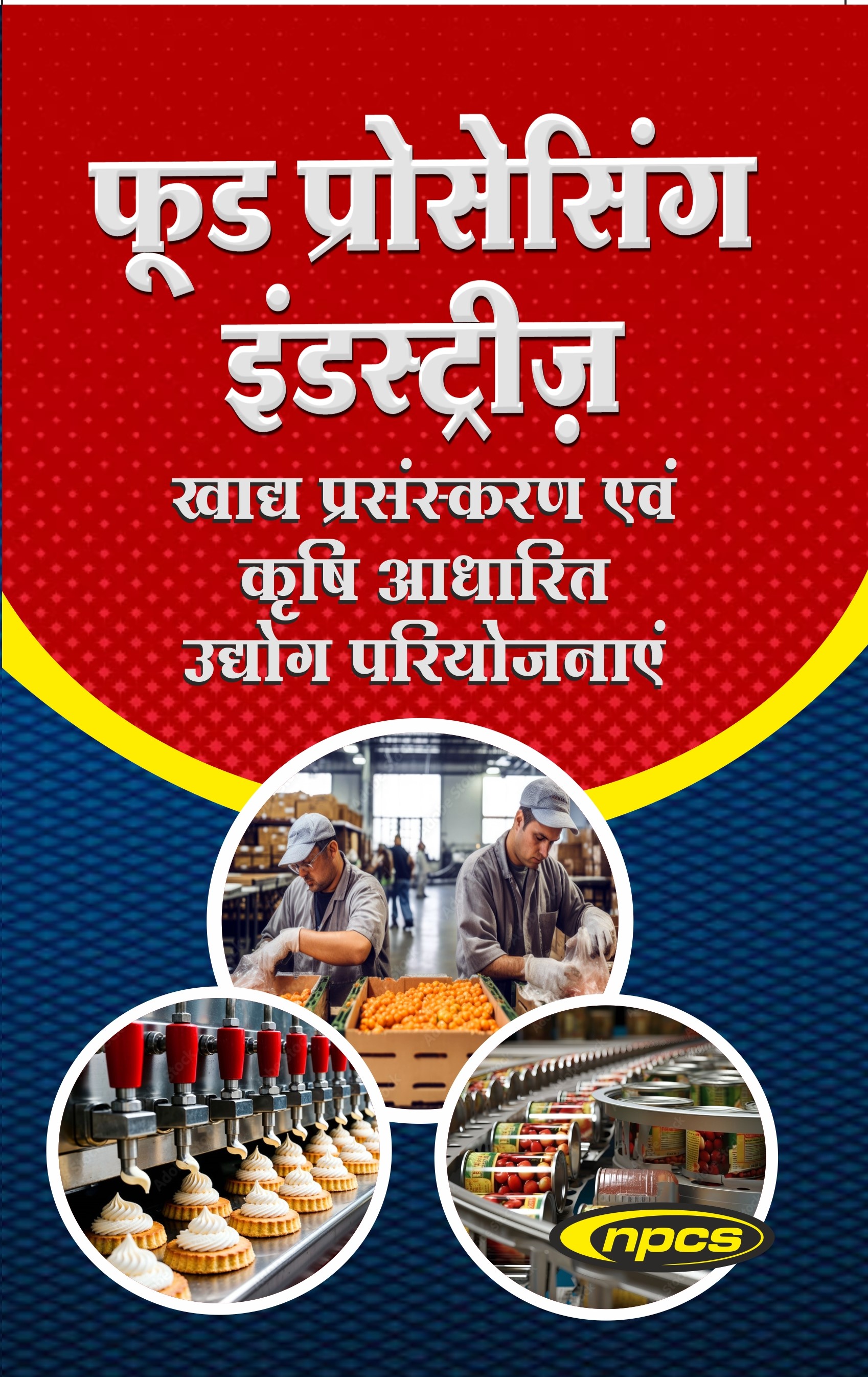 फूड प्रोसेसिंग इंडस्ट्रीज़ (खाद्य प्रसंस्करण एवं कृषि आधारित उद्योग परियोजनाएं) 3rd Edition